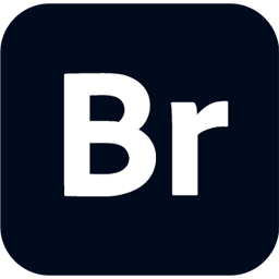 Adobe Bridge 2025 v15.0.3 Multilingual x64资源下载地址|分享百度网盘迅雷BT-360自学网