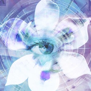 媒体视频_Win_Blue Iris 2.0.60资源下载地址_百度网盘迅雷BT-360自学网