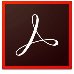 办公应用_Win64_Adobe Acrobat Pro DC 2022.003.20282 Update Only x64资源下载地址_百度网盘迅雷BT-360自学网