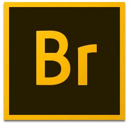 图形开发_Win64_Adobe Bridge CC 2018 v8.1.0.383 x64 Multilingual资源下载地址_百度网盘迅雷BT-360自学网