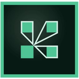 实用工具_Win_Adobe Connect Enterprise 9.8.2 Update Only资源下载地址_百度网盘迅雷BT-360自学网