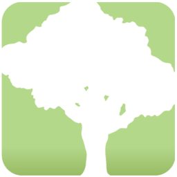图形开发_Win64_SpeedTree Cinema 8.1.5 x64资源下载地址_百度网盘迅雷BT-360自学网