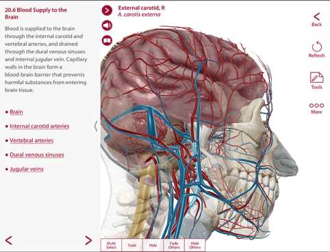 工程行业_Win_Visible Body Anatomy and Physiology 1.5.04资源下载地址_百度网盘迅雷BT-360自学网