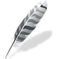 编程开发_Win64_Wing IDE Professional 8.3.2 Linux Debian x64资源下载地址_百度网盘迅雷BT-360自学网