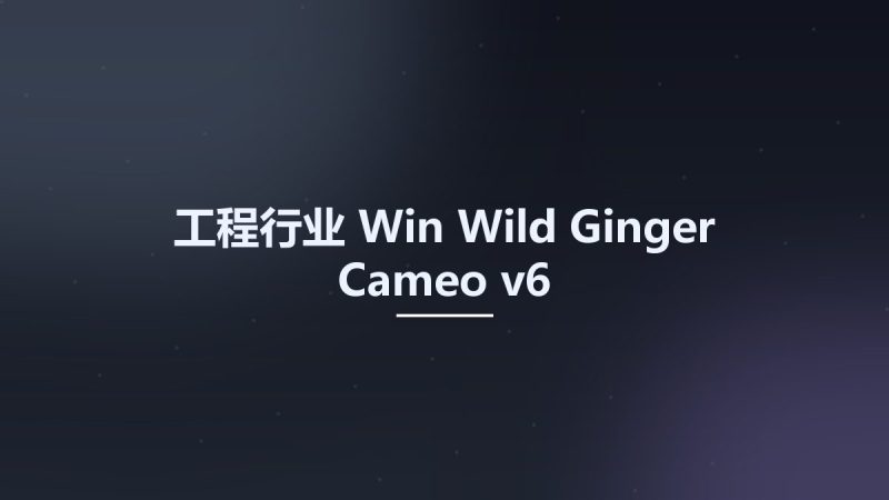 工程行业_Win_Wild Ginger Cameo v6资源下载地址_百度网盘迅雷BT-360自学网