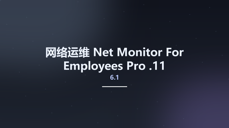 网络运维__Net Monitor For Employees Pro 6.1.6资源下载地址_百度网盘迅雷BT-360自学网