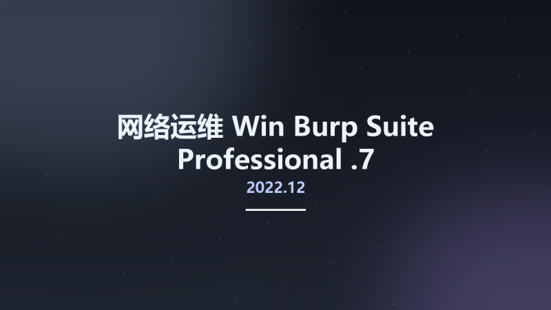 网络运维_Win_Burp Suite Professional 2022.8.5资源下载地址_百度网盘迅雷BT-360自学网