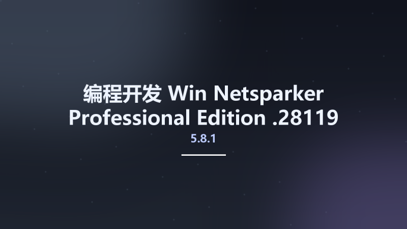 编程开发_Win_Netsparker Professional Edition 5.8.1.28119资源下载地址_百度网盘迅雷BT-360自学网