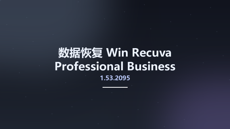 数据恢复_Win_Recuva Professional Business Technician 1.53.2095 Multilingual资源下载地址_百度网盘迅雷BT-360自学网
