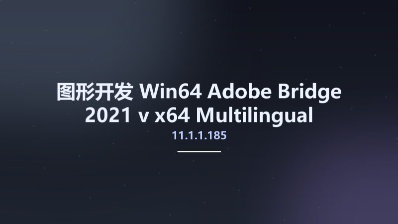 图形开发_Win64_Adobe Bridge 2021 v11.1.1.185 x64 Multilingual资源下载地址_百度网盘迅雷BT-360自学网