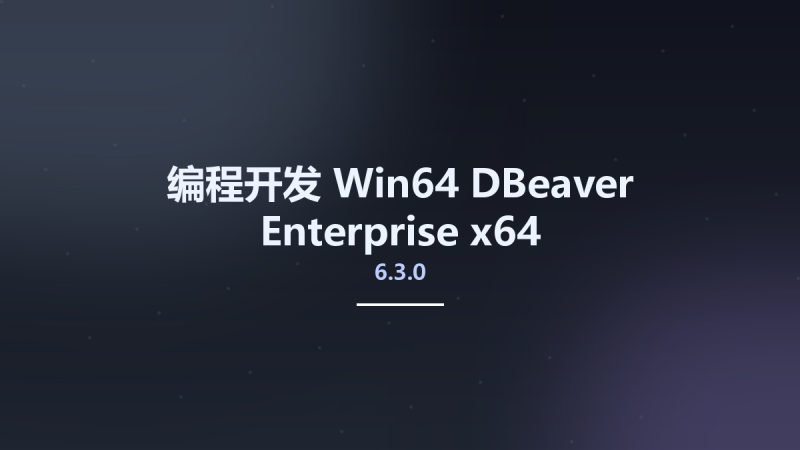编程开发_Win64_DBeaver Enterprise 6.3.0 x64资源下载地址_百度网盘迅雷BT-360自学网