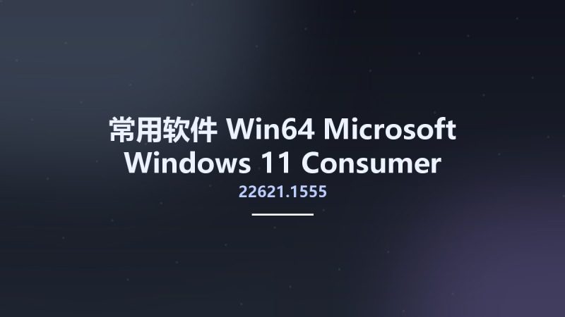 常用软件_Win64_Microsoft Windows 11 Consumer Editions Version 22H2 Updated April 2023 Build 22621.1555 MSDN x64资源下载地址_百度网盘迅雷BT-360自学网