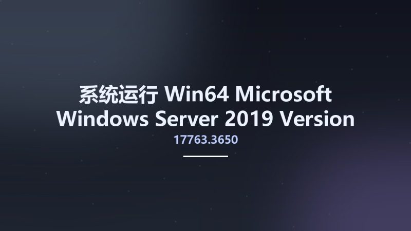 系统运行_Win64_Microsoft Windows Server 2019 Version 1809 Updated November 2022 Build 17763.3650?MSDN-VLSC x64资源下载地址_百度网盘迅雷BT-360自学网