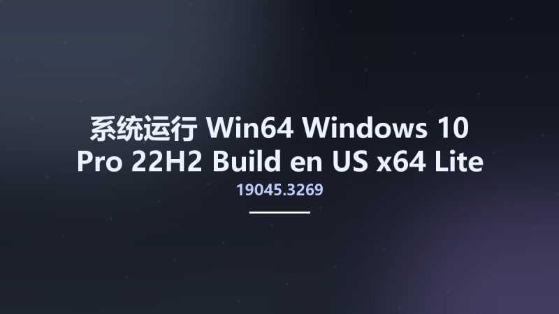 系统运行_Win64_Windows 10 Pro 22H2 Build 19045.3269 en-US x64 Lite资源下载地址_百度网盘迅雷BT-360自学网