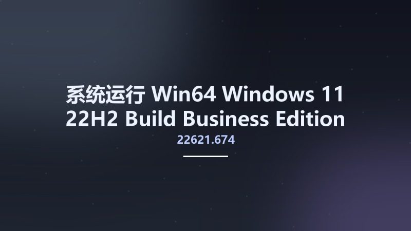 系统运行_Win64_Windows 11 22H2 Build 22621.674 Business Edition English October 2022 MSDN x64 Unlocked Preactivated资源下载地址_百度网盘迅雷BT-360自学网