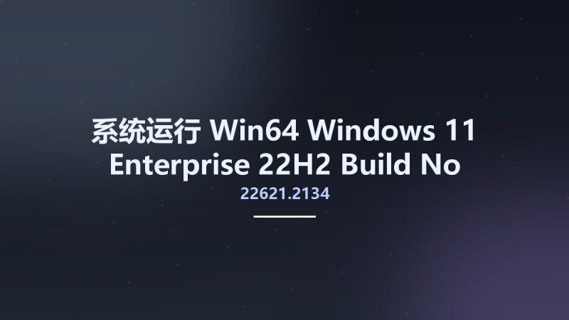 系统运行_Win64_Windows 11 Enterprise 22H2 Build 22621.2134 No-TPM Preactivated August 2023 x64资源下载地址_百度网盘迅雷BT-360自学网