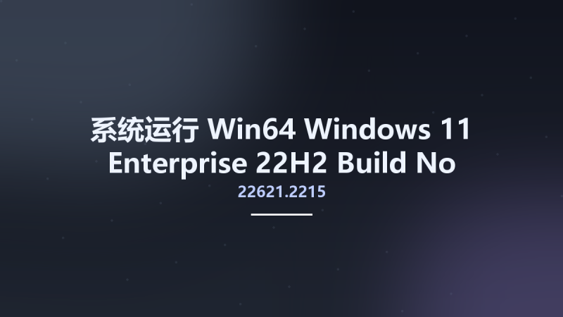 系统运行_Win64_Windows 11 Enterprise 22H2 Build 22621.2215 No-TPM Preactivated x64资源下载地址_百度网盘迅雷BT-360自学网