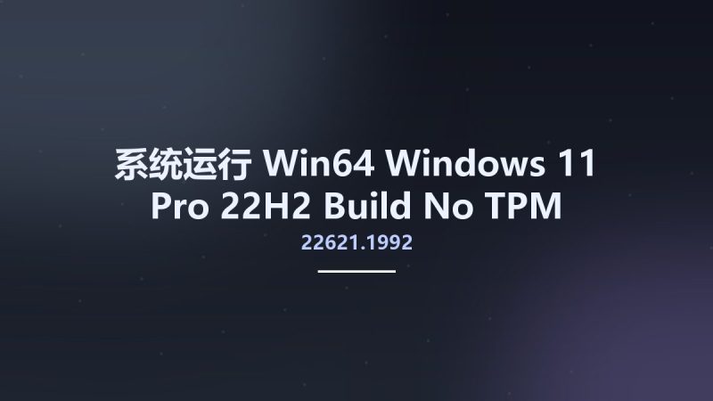 系统运行_Win64_Windows 11 Pro 22H2 Build 22621.1992 No-TPM Preactivated July 2023 x64资源下载地址_百度网盘迅雷BT-360自学网
