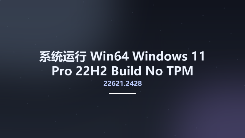 系统运行_Win64_Windows 11 Pro 22H2 Build 22621.2428 No-TPM Preactivated October 2023 x64资源下载地址_百度网盘迅雷BT-360自学网