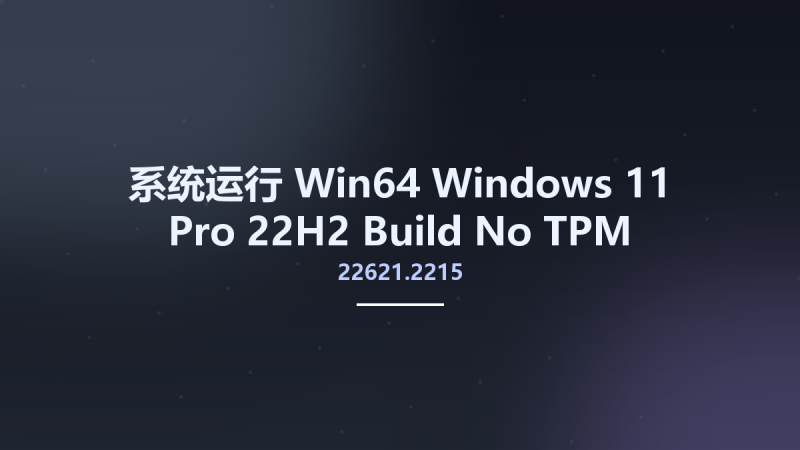 系统运行_Win64_Windows 11 Pro 22H2 Build 22621.2070 No-TPM Preactivated x64资源下载地址_百度网盘迅雷BT-360自学网