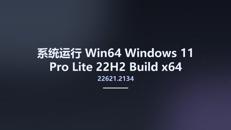 系统运行_Win64_Windows 11 Pro Lite 22H2 Build 22621.2134 x64 August 2023 WPE Bootable资源下载地址_百度网盘迅雷BT-360自学网