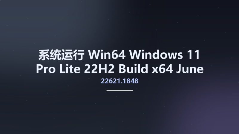 系统运行_Win64_Windows 11 Pro Lite 22H2 Build 22621.1848 x64 June 2023 WPE Bootable资源下载地址_百度网盘迅雷BT-360自学网