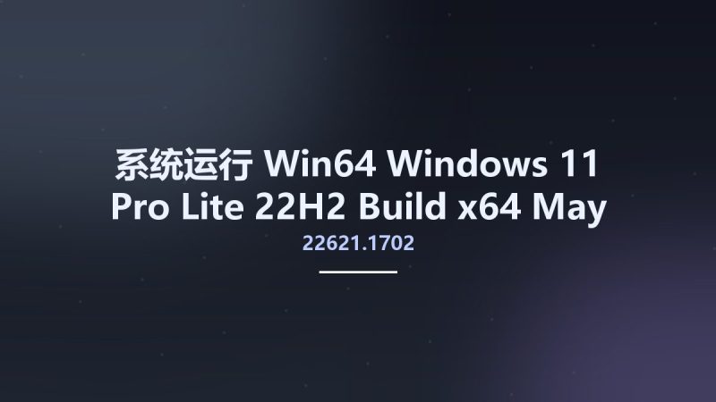 系统运行_Win64_Windows 11 Pro Lite 22H2 Build 22621.1702 x64 May 2023 WPE Bootable资源下载地址_百度网盘迅雷BT-360自学网