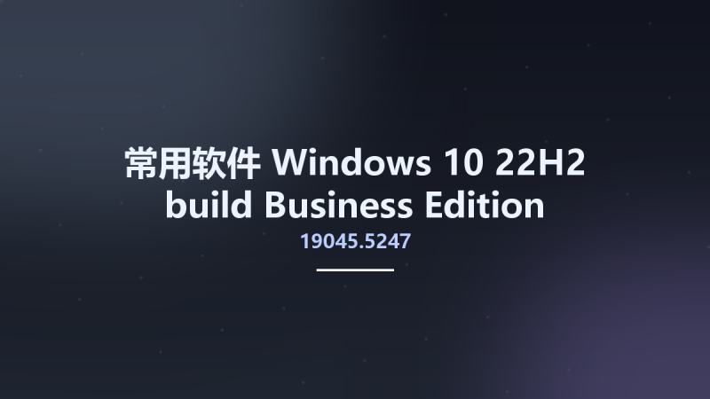 常用软件__Windows 10 22H2 build 19045.5247 Business Edition December 2024 MSDN ARM64资源下载地址_百度网盘迅雷BT-360自学网