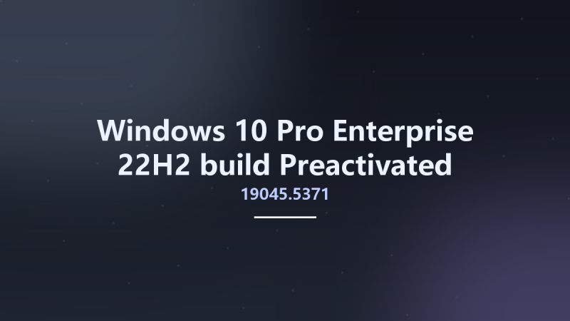 Windows 10 Pro-Enterprise 22H2 build 19045.5371 Preactivated Multilingual January 2025 x64资源下载地址_百度网盘迅雷BT-360自学网