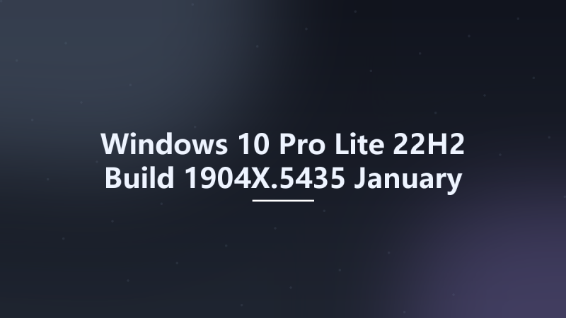 Windows 10 Pro Lite 22H2 Build 1904X.5435 January 2025 Ghost Spectre x64资源下载地址_百度网盘迅雷BT-360自学网