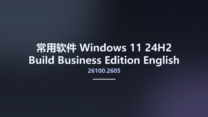 常用软件__Windows 11 24H2 Build 26100.2605 Business Edition English December 2024 MSDN ARM64资源下载地址_百度网盘迅雷BT-360自学网