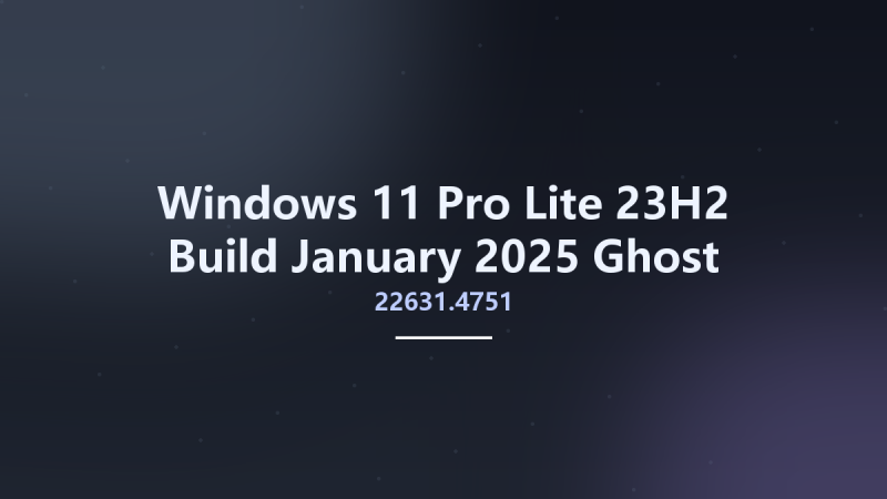Windows 11 Pro Lite 23H2 Build 22631.4751 January 2025 Ghost Spectre x64资源下载地址_百度网盘迅雷BT-360自学网