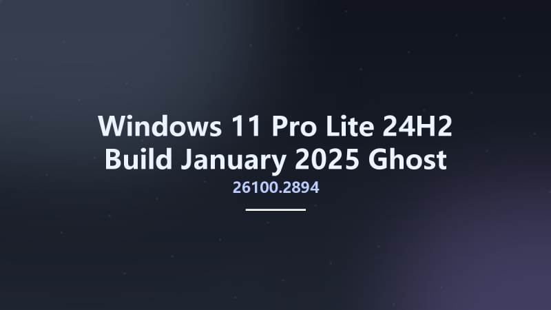 Windows 11 Pro Lite 24H2 Build 26100.2894 January 2025 Ghost Spectre x64资源下载地址_百度网盘迅雷BT-360自学网