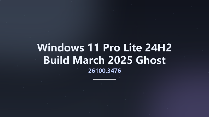 Windows 11 Pro Lite 24H2 Build 26100.3476 March 2025 Ghost Spectre x64 - WPE Bootable资源下载地址_百度网盘迅雷BT-360自学网