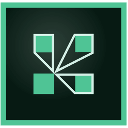 实用工具_Win_Adobe Connect Enterprise 9.8资源下载地址_百度网盘迅雷BT-360自学网