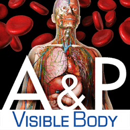 工程行业_Win_Visible Body Anatomy and Physiology 1.5.04资源下载地址_百度网盘迅雷BT-360自学网
