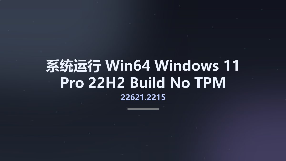 系统运行_Win64_Windows 11 Pro 22H2 Build 22621.2215 No-TPM Preactivated x64资源下载地址_百度网盘迅雷BT